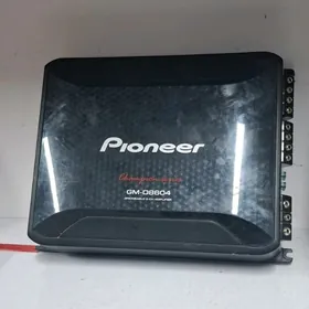 Pioneer 86-04 usulitel