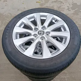 Camry le disge pakryşga 17