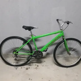 tigir turkmenistan orbis