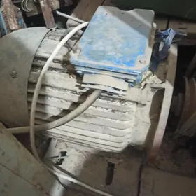 дегирмен . хораз.