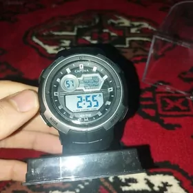 Captiva Spartiwny sagat