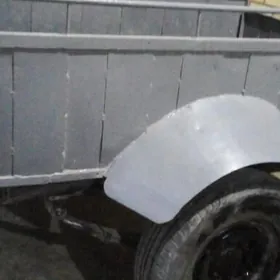 Prisep Polprisep 2024