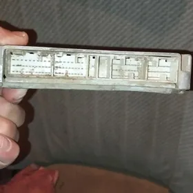 2lik wiwitaý kampuýuter mark