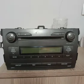 Карола майтафон с клас.