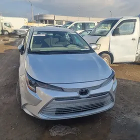 Toyota Corolla 2024