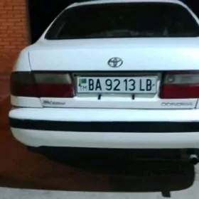 Toyota Corona 1995