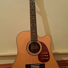 Gitara
