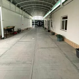 Coganly 4Sotok 5 kom