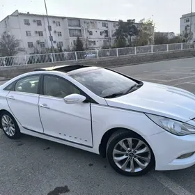 Hyundai Sonata 2010