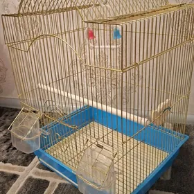 клетка для попугаев