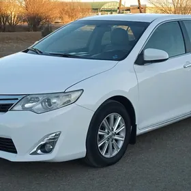 Toyota Camry 2013