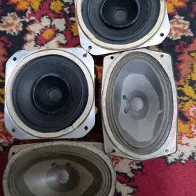 ДИНАМИКИ ДЛЯ КОЛОНОК