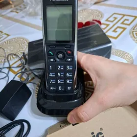 telefon domashni