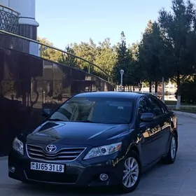 Toyota Camry 2010