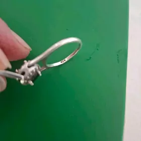 кумуш кадымы