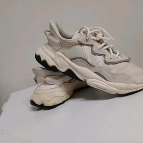 женский  красовка