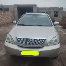 Lexus RX 330 2004