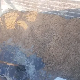 Sygyr goyun okyz gole