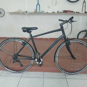 tigir welisopet original