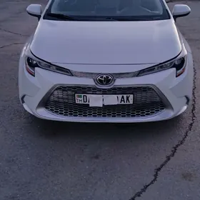 Toyota Corolla 2020