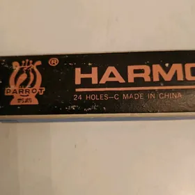 ГУБНАЯ ГАРМОНИКА