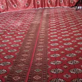 gara oy PALATKA haly