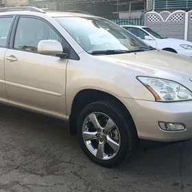 Lexus RX 330 2004
