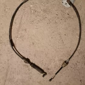 Ryçak tros 99 awalon