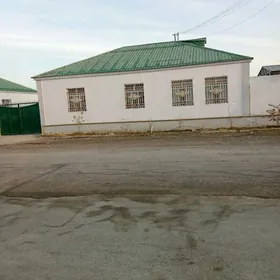 Arenda Anew plan jay