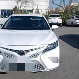 Toyota Camry 2019