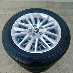 Kemry Disga pakryşga 17