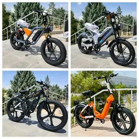 TIGIR MATOR ROLIK MASYN HADINO