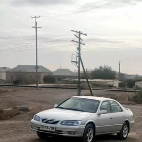 Mary disga 15 lik abmen ba