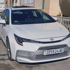 Toyota Corolla 2020
