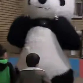 panda