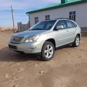 Lexus RX 330 2004