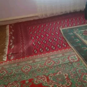 1komnat gaty arssaja