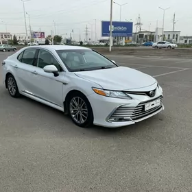Toyota Camry 2022
