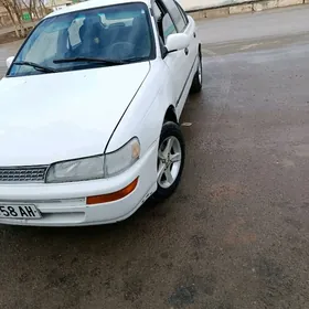 Toyota Corolla 1995