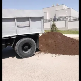 MITI KERPIÇ SEMENT MYTY GUM DS