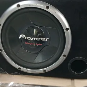 Pioneer usinitel