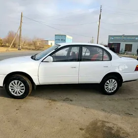 Toyota Corolla 1996