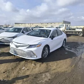 Toyota Camry 2023