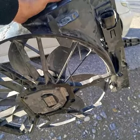 möjek göz elektrisni