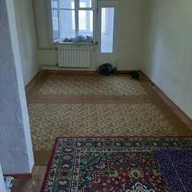 квартира 303