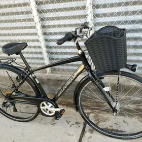 27 ALLEGRESSE YAPON WEL