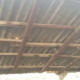 Turwo ugolnik şiwellir