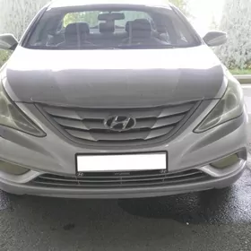 Hyundai Sonata 2010