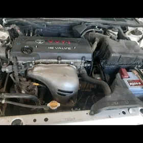 Duty kemri motor koropka 2.4