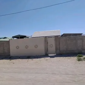 satlyk jay gulmayakda